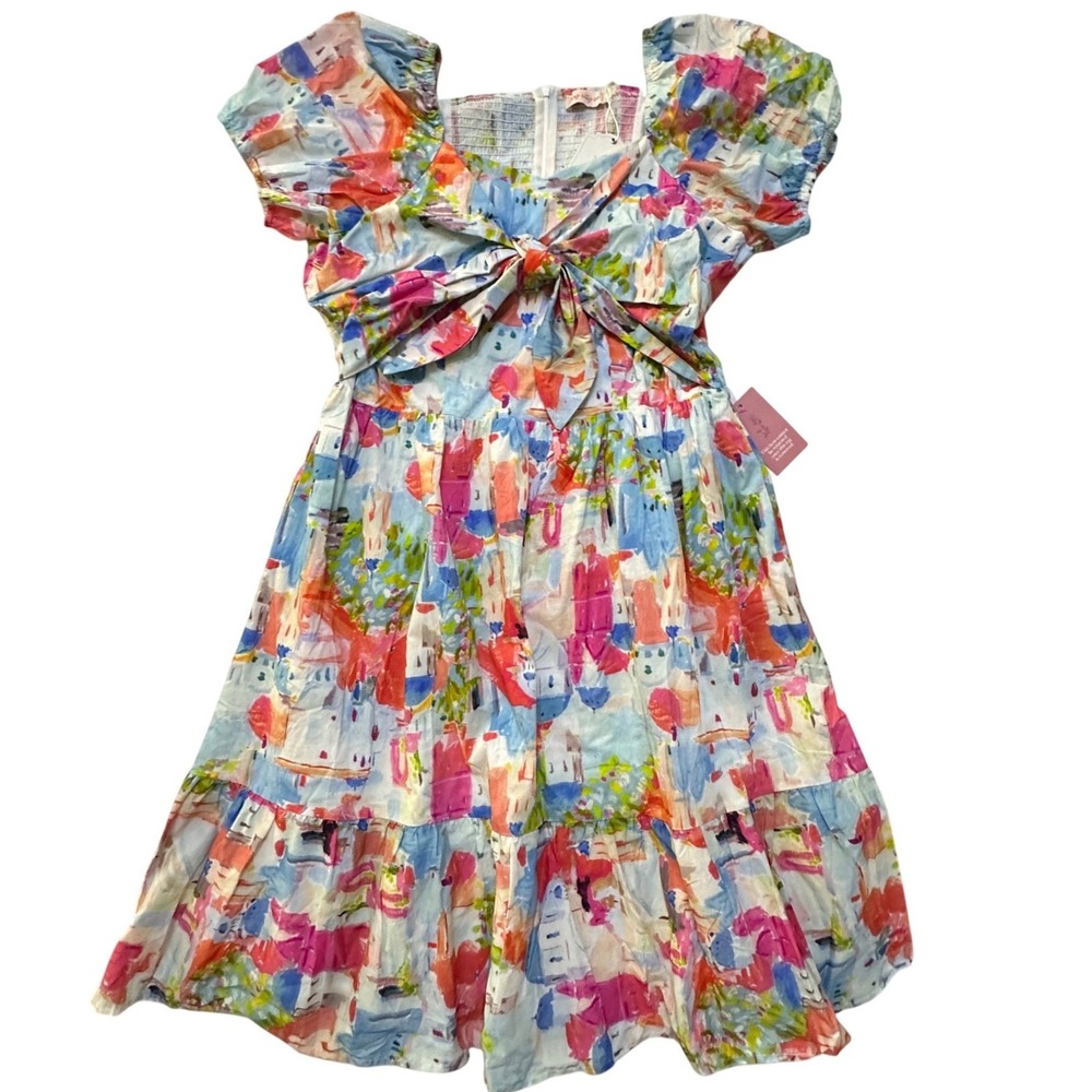 Ivy City Co Myko Dress 1X Watercolor Abstract Smoked Tiered Puff Sleeves Pockets